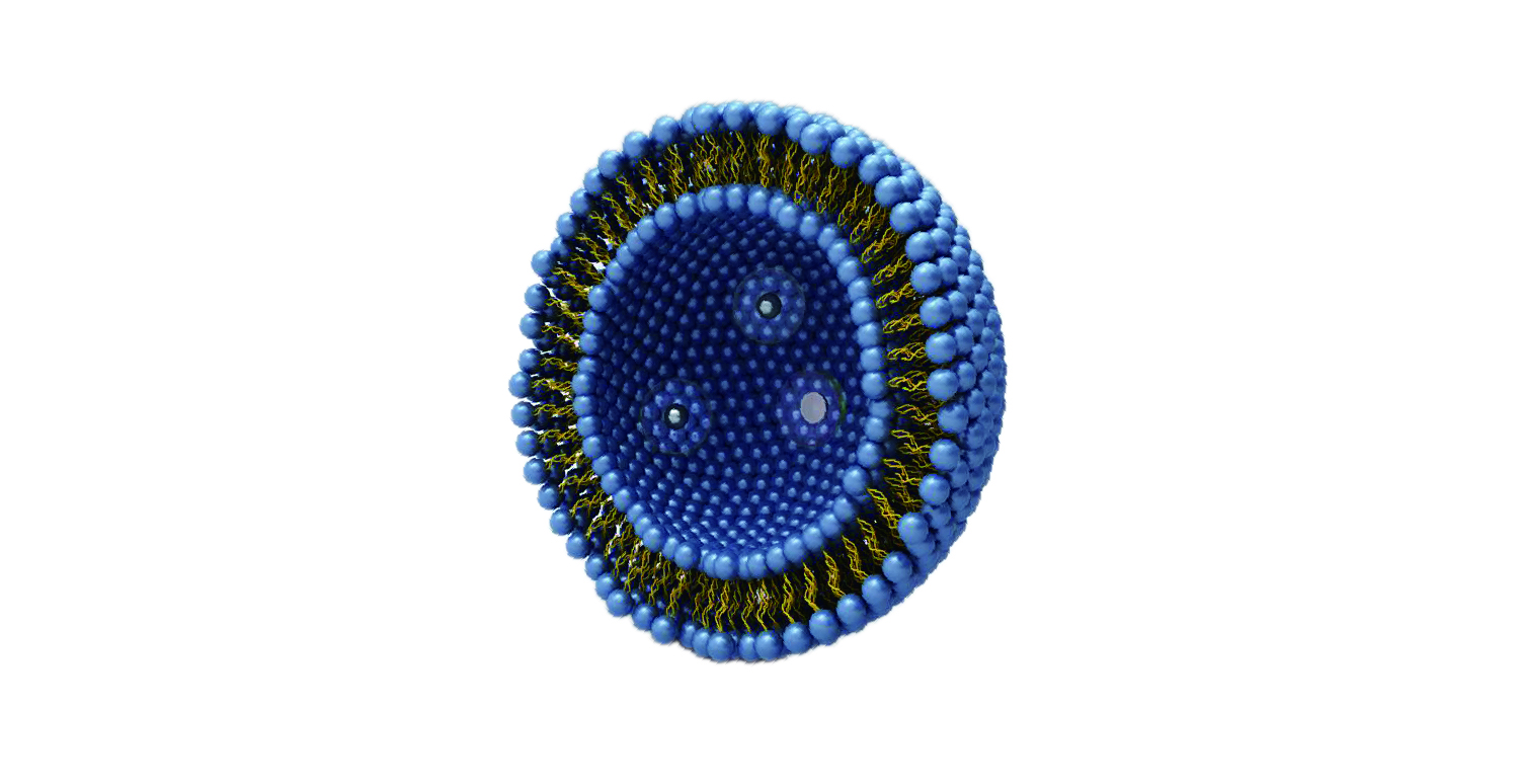 Liposome5